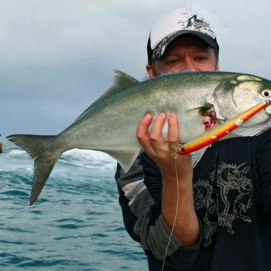 Steve Correia with a Tailor caught offshore of Fremantle