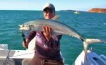 Finding Broad Barred Spanish Mackerel