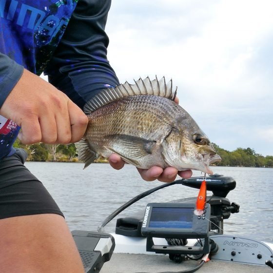 Ruan Ver Der Berg with a Swan River Bream caught on a Scout 45