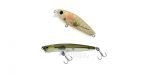New Lures for Whiting