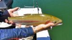 Perth Fishing TV v3 Ep03 – Waroona Dam Trout