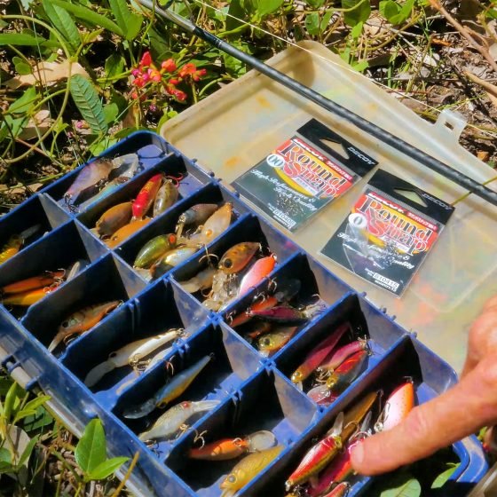 Fishing Lures for Trout