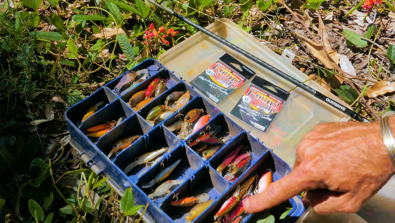 Fishing Lures for Trout