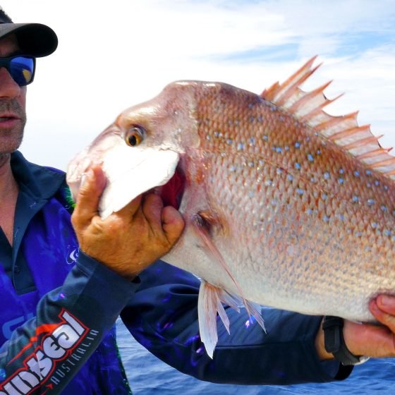 Pink Snapper from Deep Water