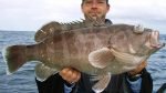 Deep Drop Fishing Pt06 – Grey Banded Cod