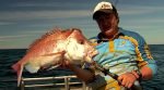 Massive Snapper from Bernier Island