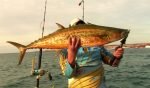 Mackerel on a Popper