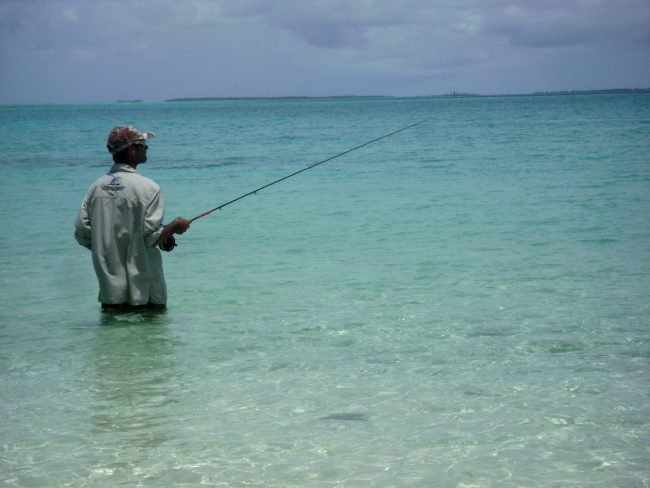 Wading Cocos Island flats for Bonefish