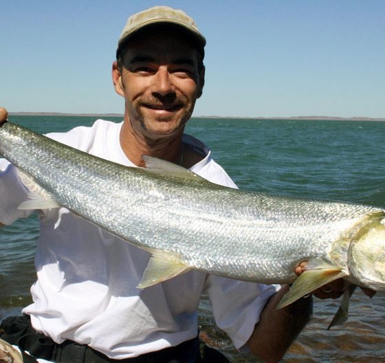 Nick Hocking with a Giant Herring or Elops