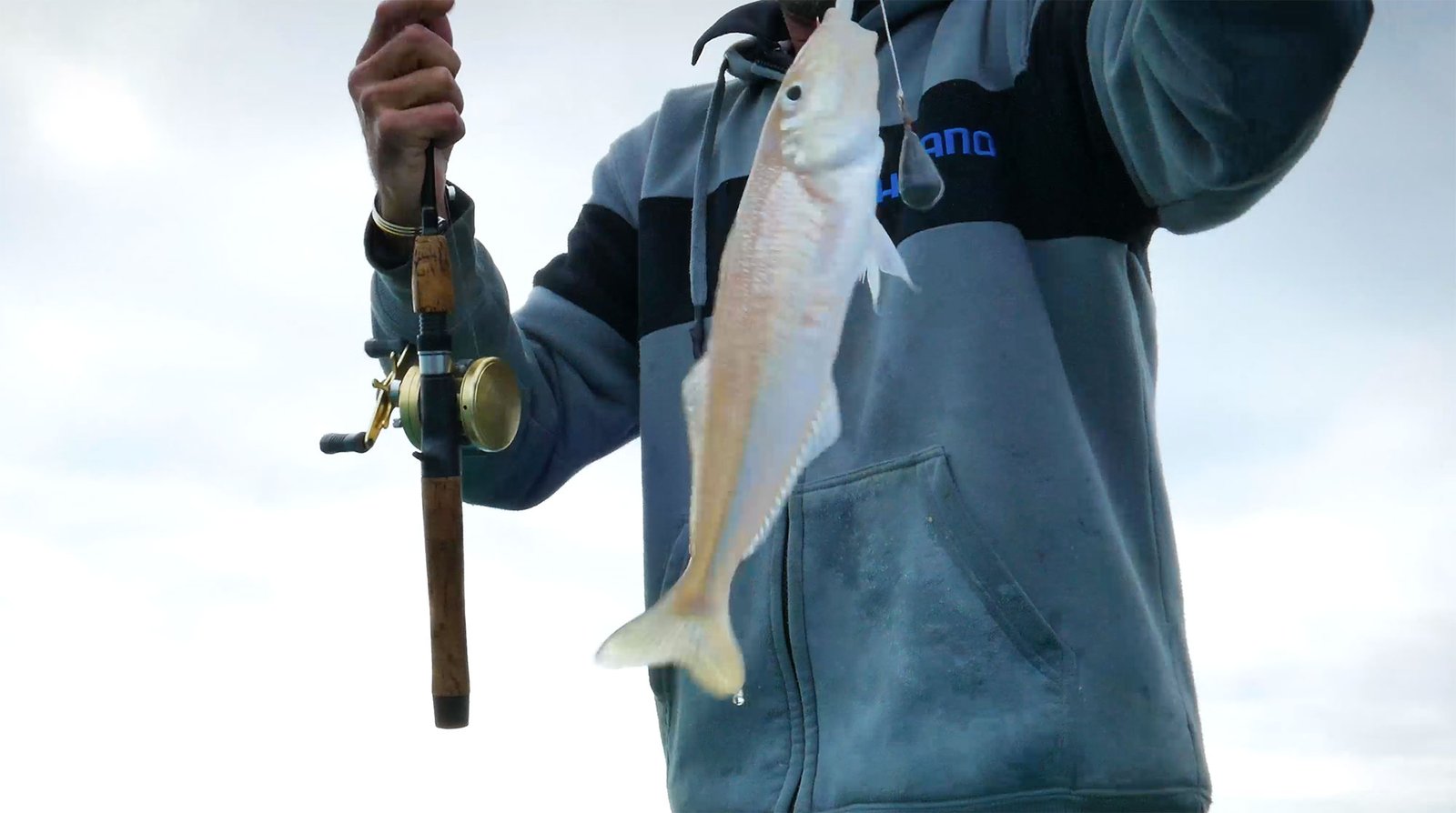 Big Sand Whiting