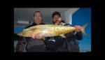 Trolling off Two Rocks in September