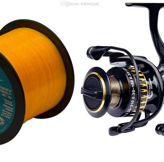 Line and Fishing Reel