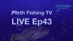 Perth Fishing TV Live Ep43