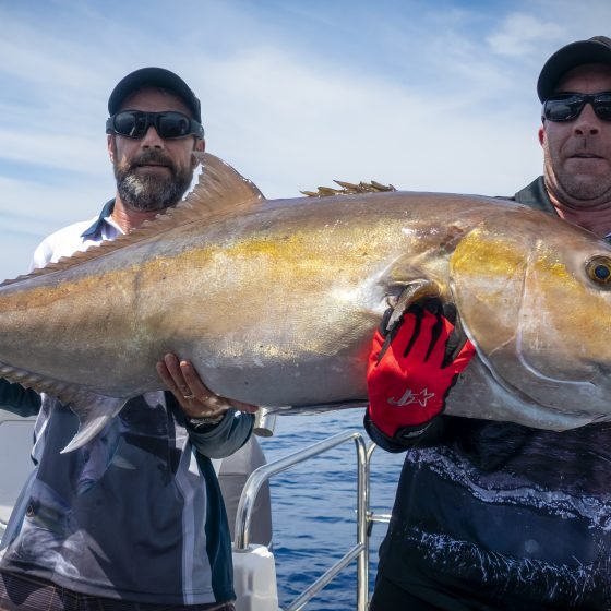 Big Perth Samsonfish