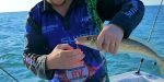 Perth Fishing TV Live Ep28