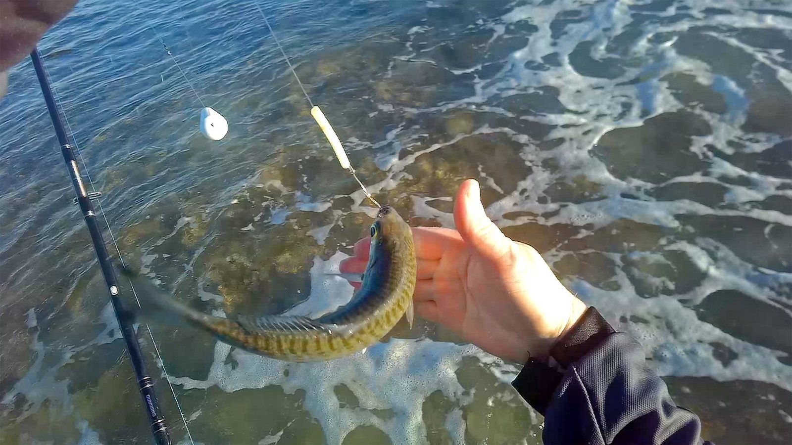 Land Based Fishing Perth Fishing TV v3